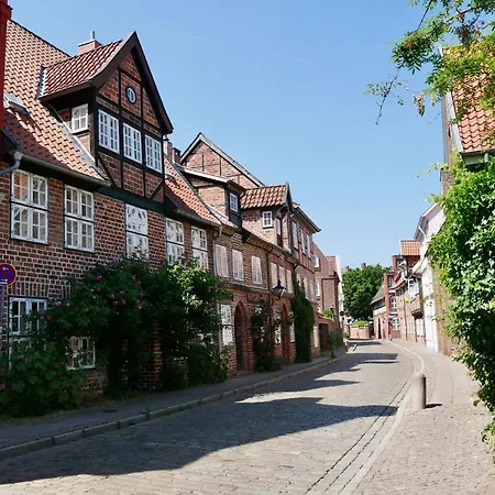 Zentrales Altstadt - In Mit Terrasse & Parkplatz Lejlighed Lüneburg