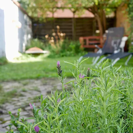 Hygge - Altstadt Mit Gratis-parkplatz Appartement Lüneburg