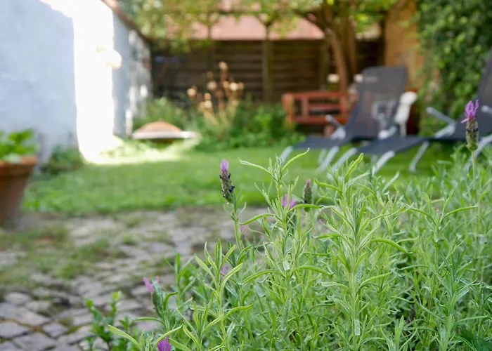 Altstadt-apartment Mit Kostenfreiem Parkplatz Lägenhet Lüneburg